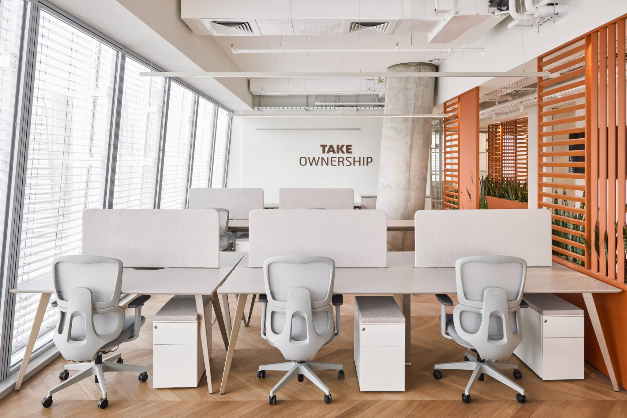 TAKE OWNERSHIP wall letters above office desks