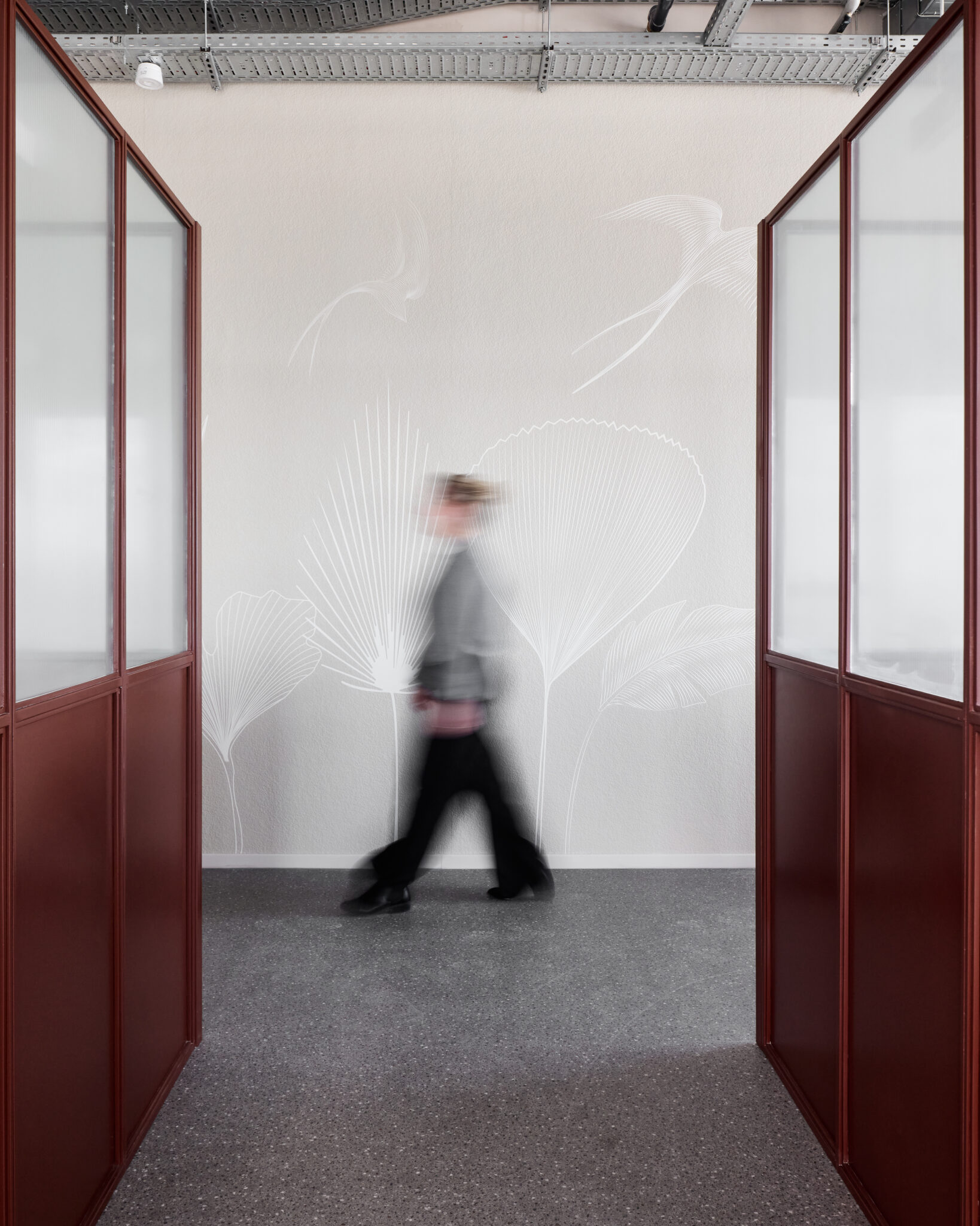Corridor with leaf line graphics printed on glass partitions
