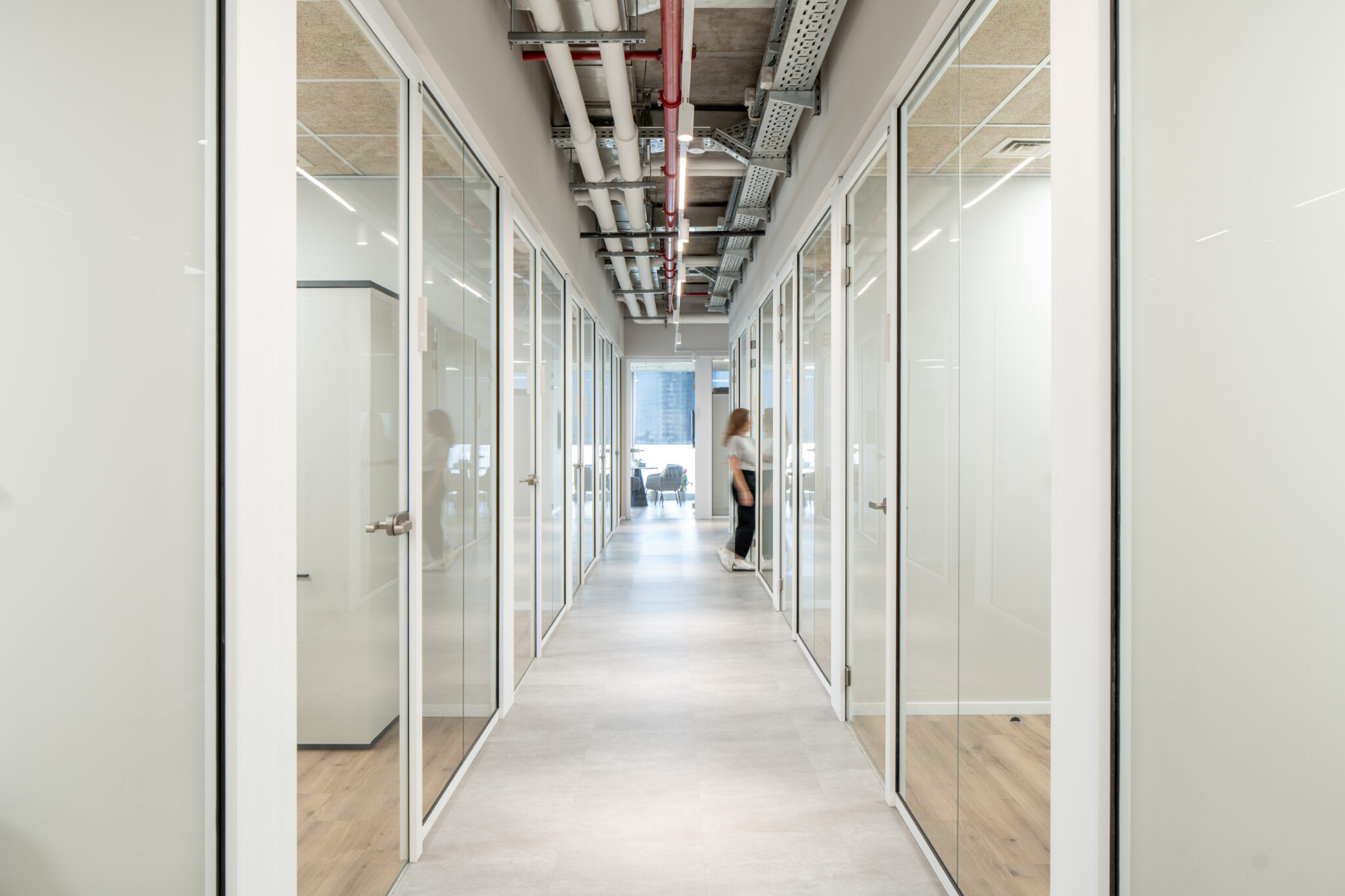 Corridor of glass offices with clear and frosted panels