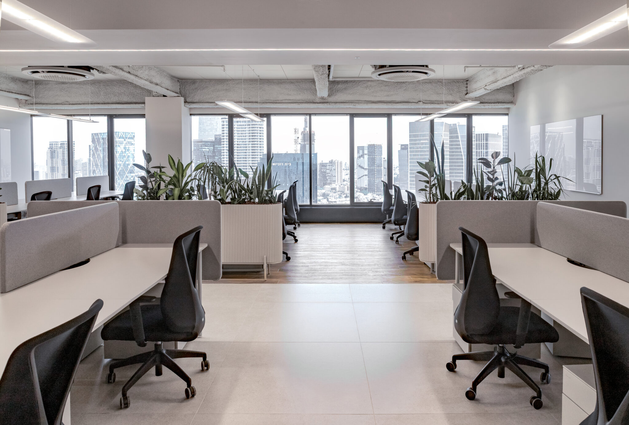 Open-plan desks with planters and city views