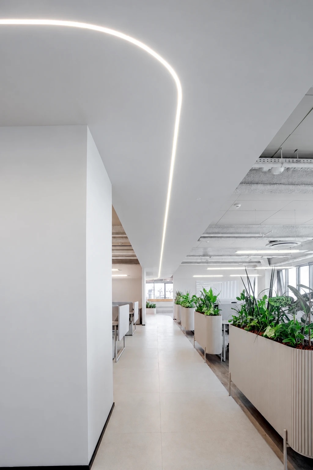 Curved lit line running along an office corridor ceiling